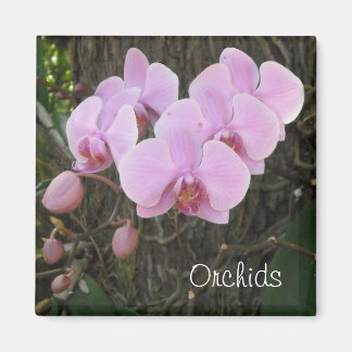 Romantic Orchids Magnet