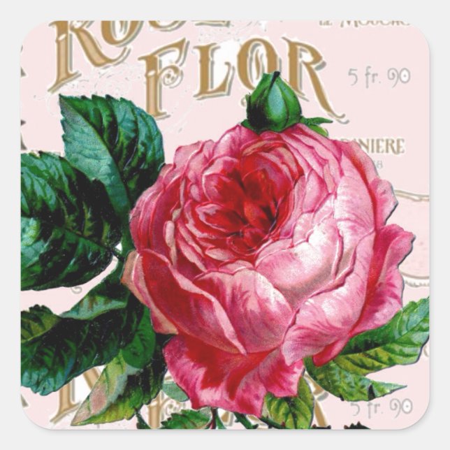 Romantic Paris Rose shabbychic pink Square Sticker (Front)