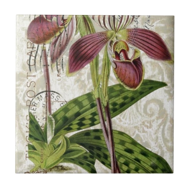 romantic parisian tropical french botanical orchid tile (Front)