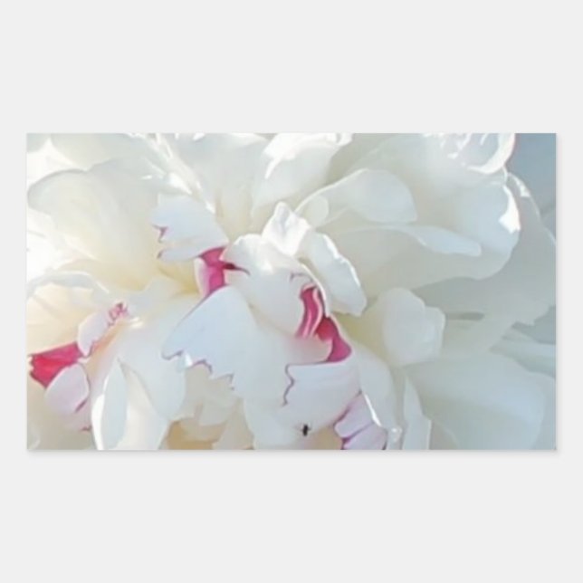 Romantic Peony Rectangle Sticker (Front)