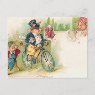Romantic Pigs Postcard