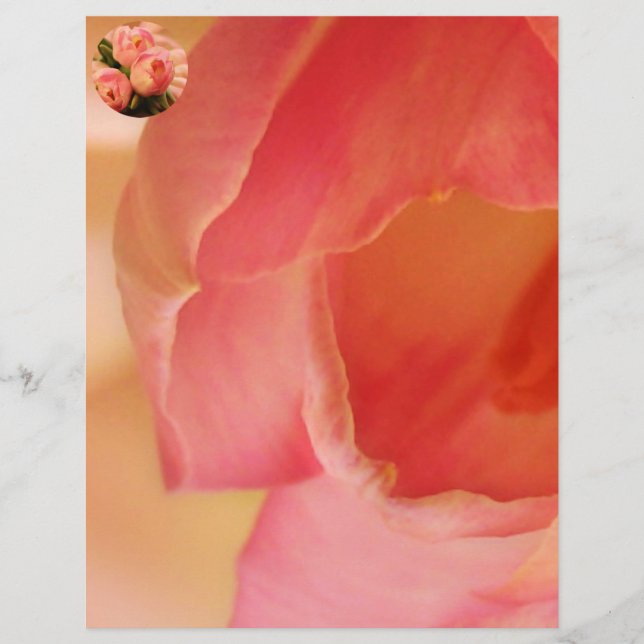 Romantic Pink Butterfly Tulip (Front)