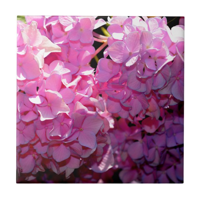 Romantic pink floral elegant hydrangeas  tile (Front)