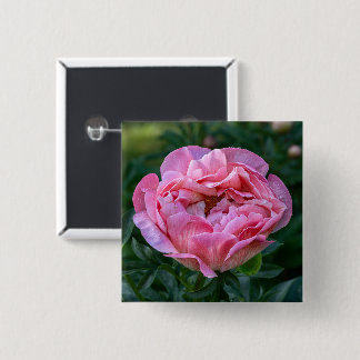Romantic Pink Peony Bloom Soft Pastel Floral 2 Inch Square Button