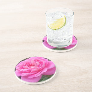 Romantic Pink Rose 'Leonardo Da Vinci'    Coaster