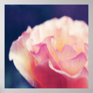 Romantic Pink Rose on Canvas Macro Abstract Poster