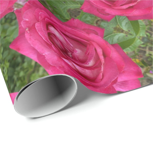 Romantic Pink Roses Rose Flowers Floral Wrapping Paper (Roll Corner)