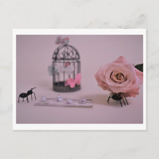 "romANTic" postcard