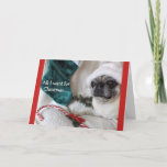 Romantic Pug Christmas Card<br><div class="desc">Is your honey a Pug lover?  Let Sophie the Pug tell them just what you want for Christmas using our words or yours.</div>