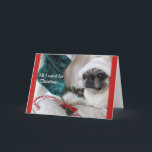 Romantic Pug Christmas Card<br><div class="desc">Is your honey a Pug lover?  Let Sophie the Pug tell them just what you want for Christmas using our words or yours.</div>
