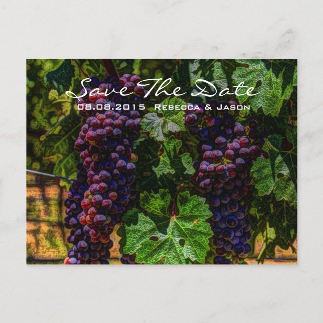 romantic purple Grapes vineyard winery wedding Announcement Postcard (Front)