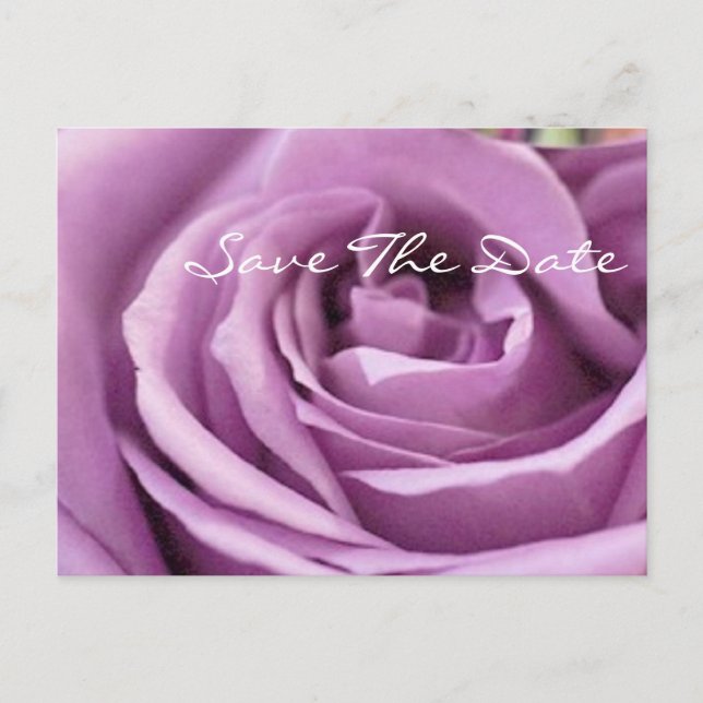 romantic purple rose  floral bridal shower announcement postcard (Front)