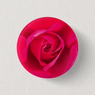 Romantic Red Pink Rose v2 1 Inch Round Button