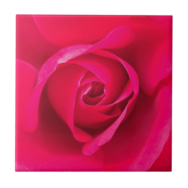 Romantic Red Pink Rose v2 Tile (Front)