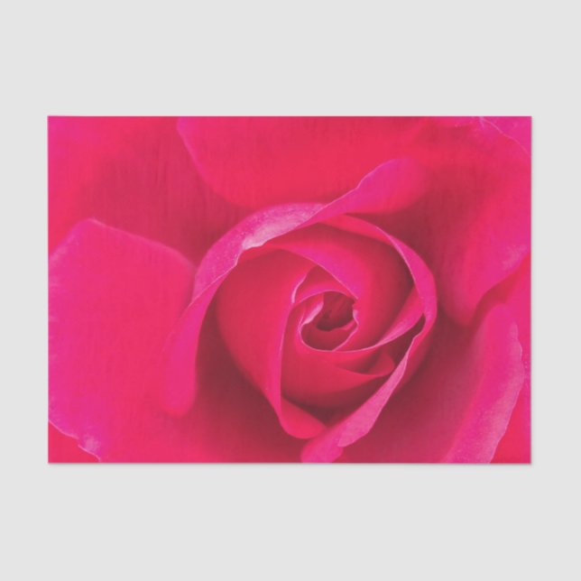Romantic Red Pink Rose v2 Tissue Paper (Front)