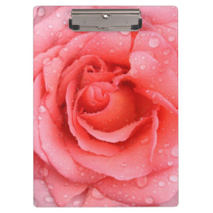 Romantic Red Pink Rose Water Drops Clipboard