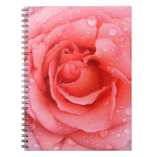 Romantic Red Pink Rose Water Drops Notebook