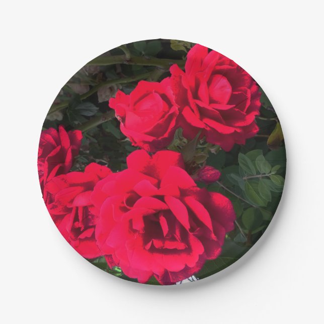 Romantic Red Rose Flower Party Paper Plate (Front)