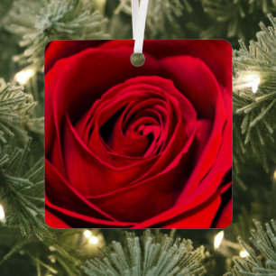 Romantic Red Rose in full bloom Metal Ornament