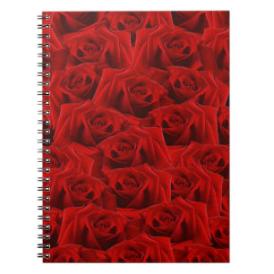  Romantic Red Rose Notebook