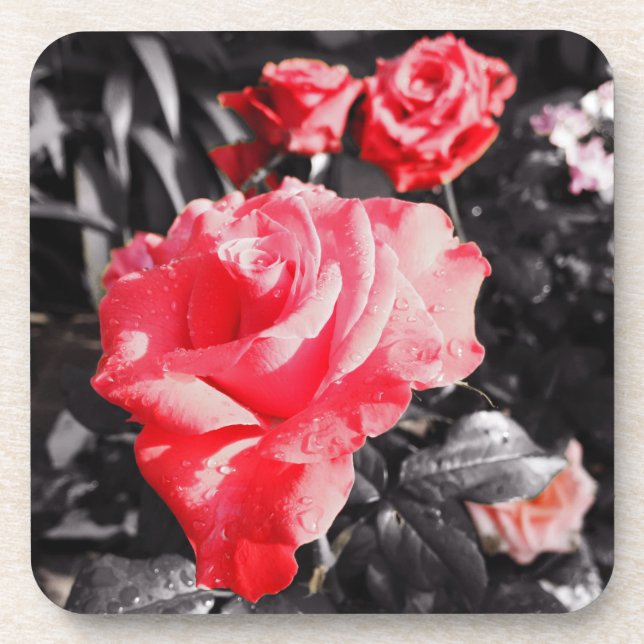 Romantic Red Roses Coaster (Front)