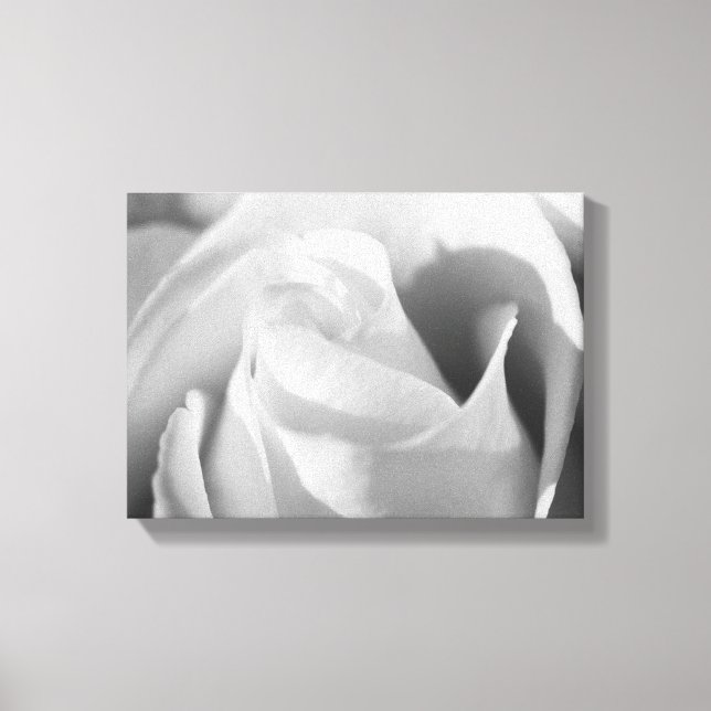 Romantic Rose Black and White Flower Canvas Print (Front)