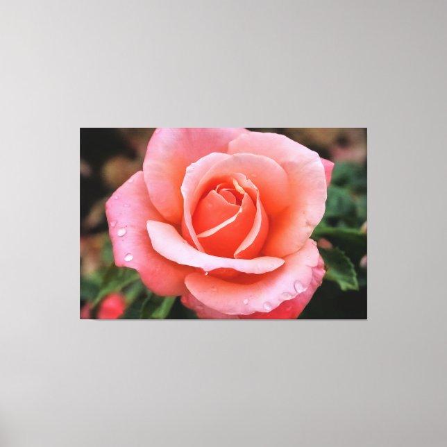 Romantic Rose Botanical Art Print (Front)