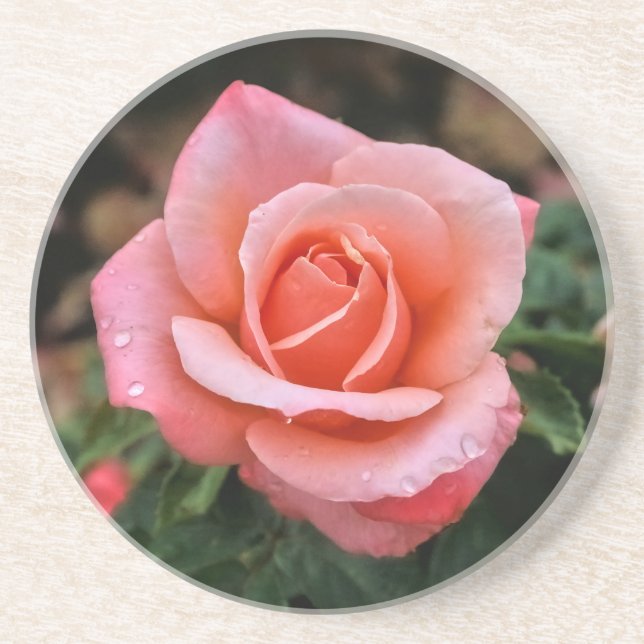 Romantic Rose Botanical Art Print Coaster (Front)