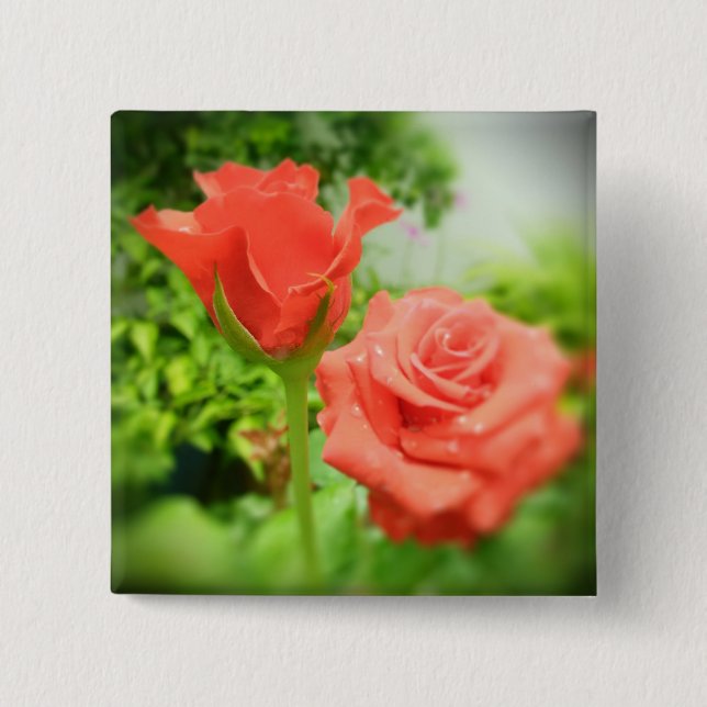 Romantic Rose Flowers 2 Inch Square Button (Front)