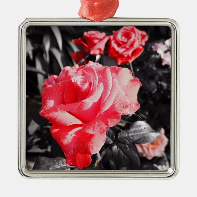 Romantic Rose Flowers #3 Metal Ornament (Front)