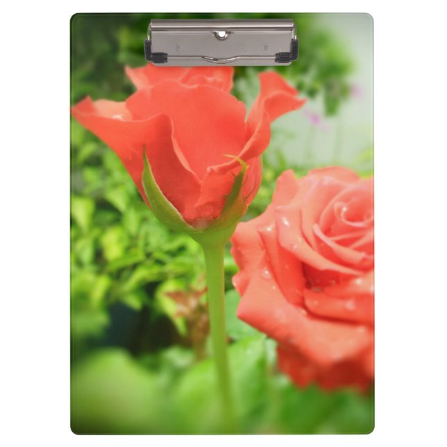 Romantic Rose Flowers Clipboard (Front)