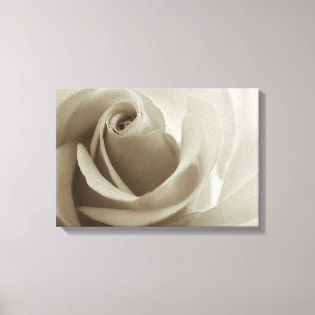 Romantic Rose Sepia Flower Canvas Print (Front)