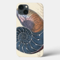 Romantic Seashell