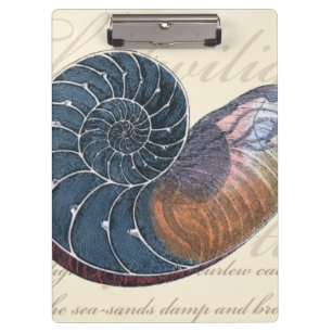 Romantic Seashell Clipboard
