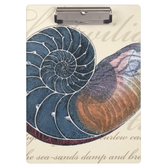 Romantic Seashell Clipboard (Front)