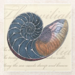 Romantic Seashell Glass Coaster<br><div class="desc">Do you live far away from the beach? No problem! Get this romantic seashell painting so you can image yourself sitting on a peaceful beach on a warm sunny day. This piece of art romanticizes the sea and the little waves which will leave you yearning for a visit the beach....</div>