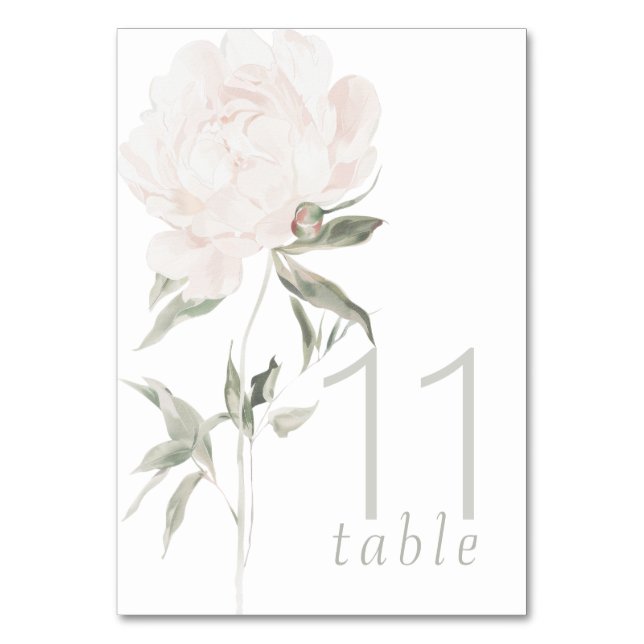 Romantic Soft Blush Peony Wedding Table Number (Front)