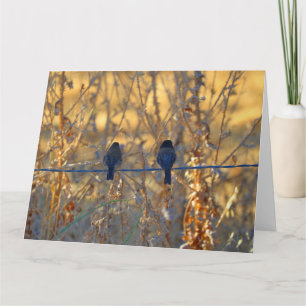 Romantic sparrow bird couple, Photo Big Greeting Card