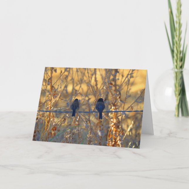 Romantic sparrow bird couple, Photo Greeting Card (Front)