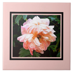 Romantic Spring Peony in Pale Peach Tile