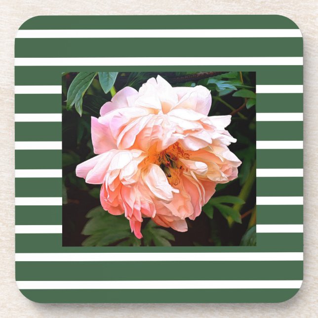 Romantic Spring Peony on Summery Green Stripes Coaster (Front)