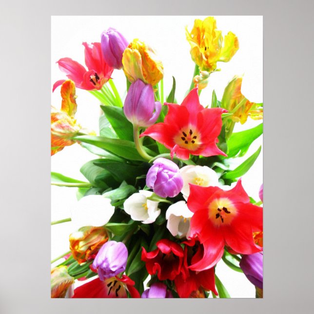 Romantic Spring Tulip Flowers Poster (Front)