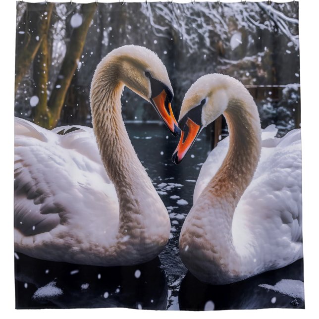 Romantic Swans in a Winter Wonderland (Front)