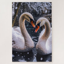 Romantic Swans in a Winter Wonderland