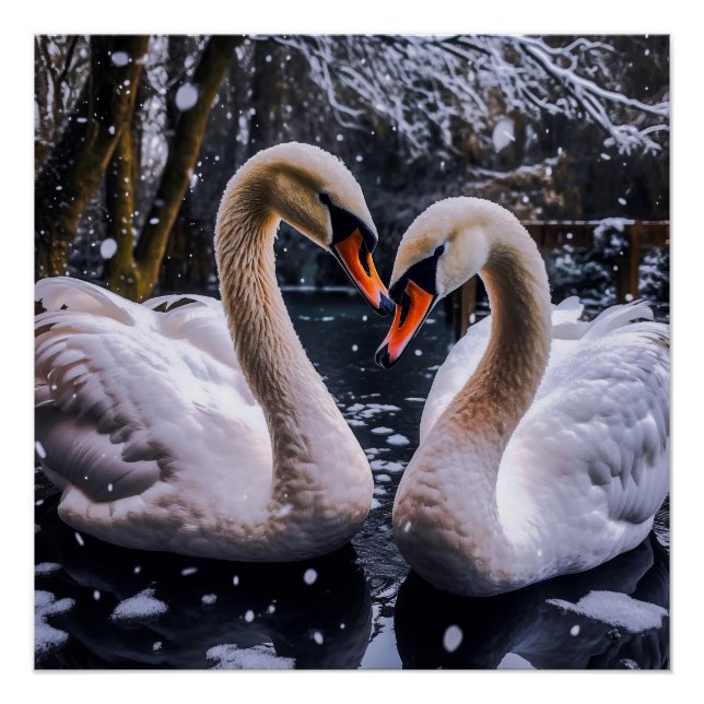 Romantic Swans in a Winter Wonderland Poster (Front)
