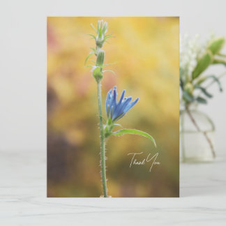 Romantic Trees & Flowers – Botanical Fantasy Boho