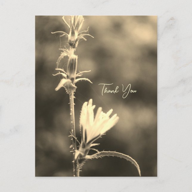 Romantic Trees & Flowers – Botanical Fantasy Poem  Holiday Postcard (Front)