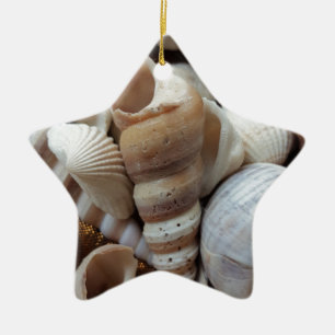 Romantic Tropical Exotic Sea Shells Beach Love Ceramic Ornament