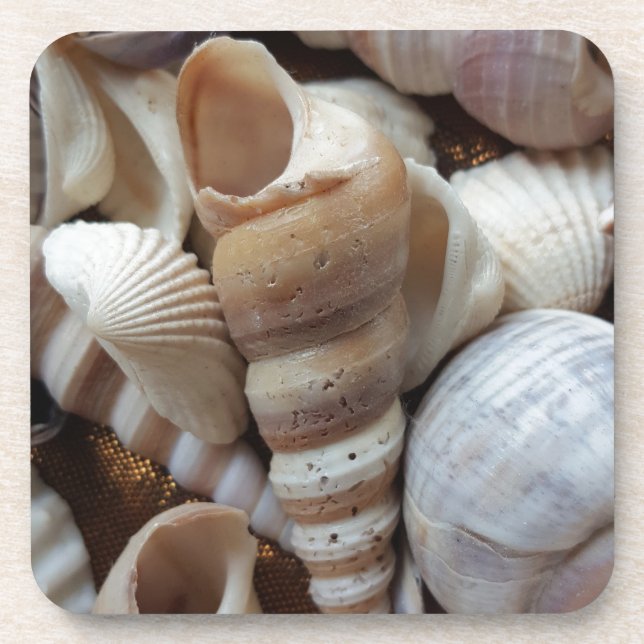 Romantic Tropical Exotic Sea Shells Beach Love Coaster (Front)