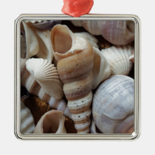 Romantic Tropical Exotic Sea Shells Beach Love Metal Ornament
